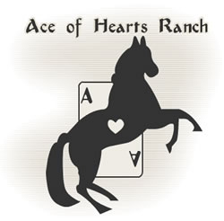Ace of Hearts Ranch logo